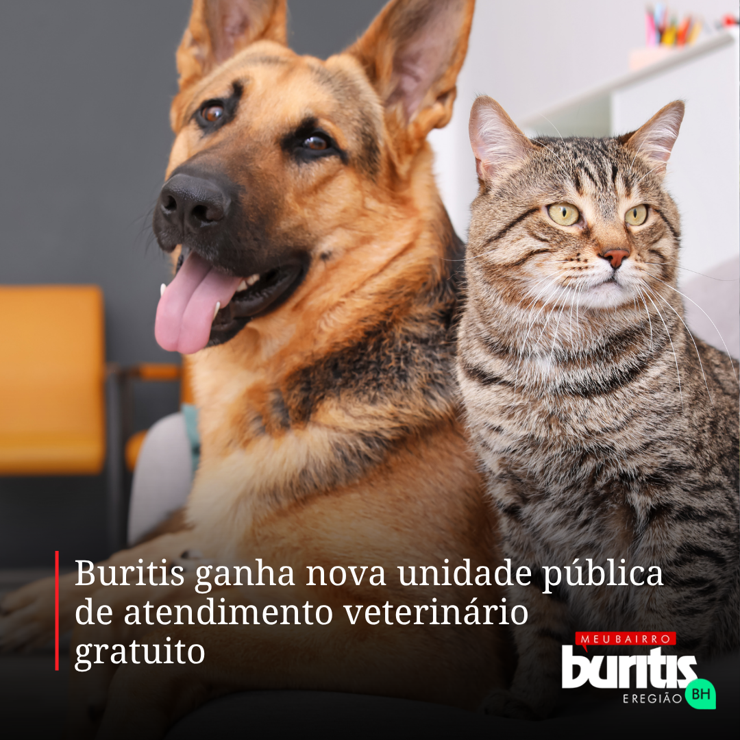 Cachorro e gato lado a lado num consultório veterinário