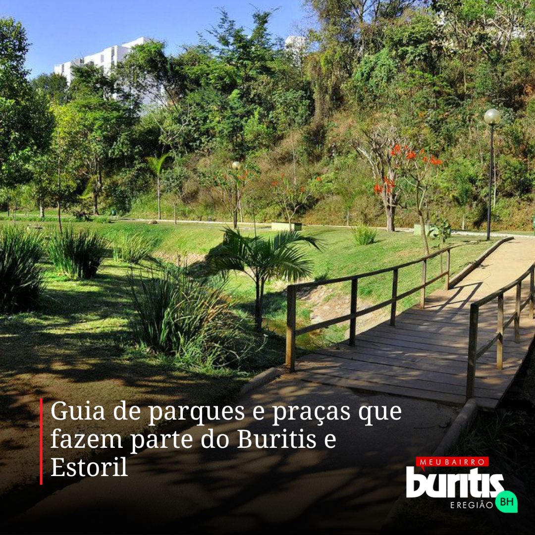 Passarela de madeira em meio à vegetação de um parque