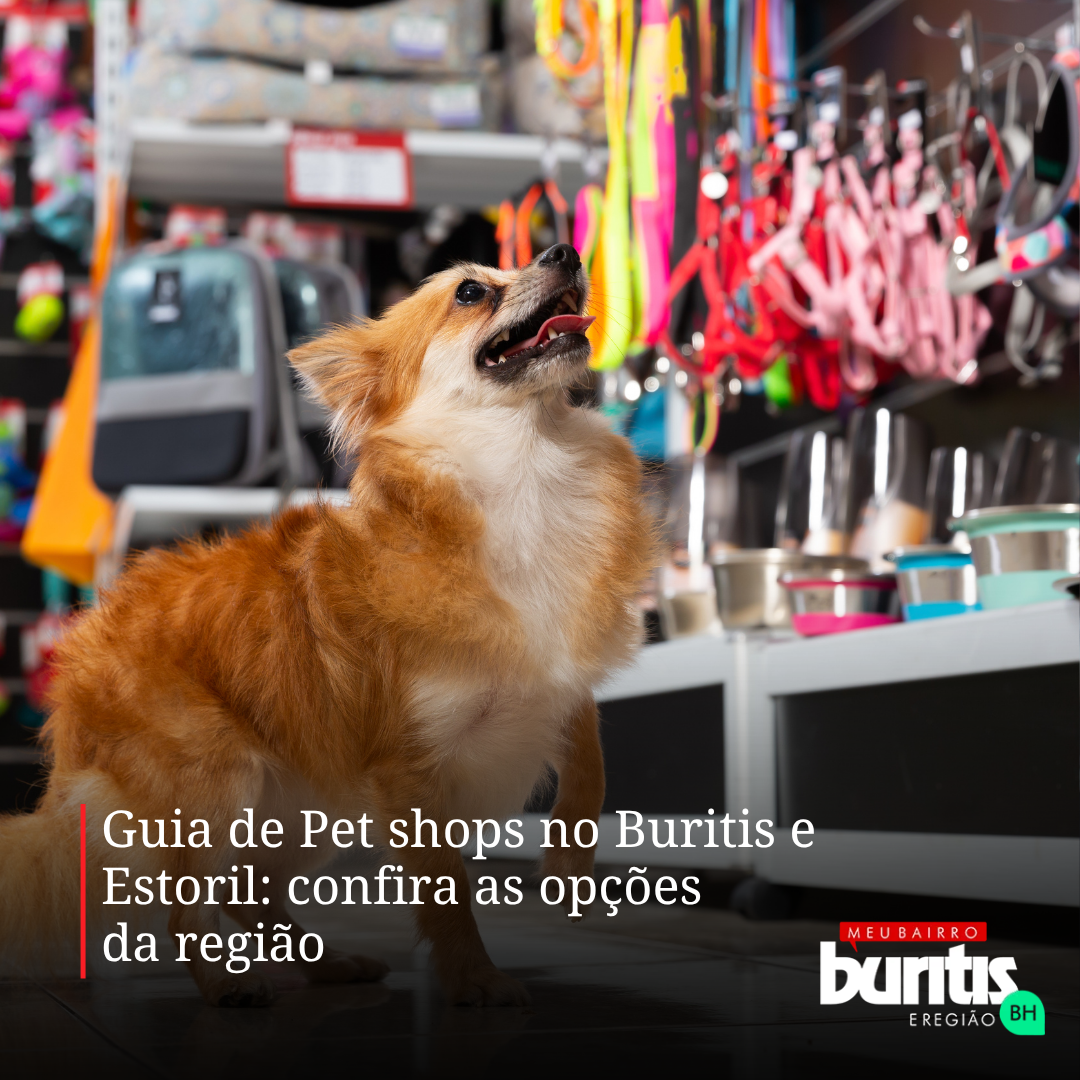 Guia de Pet shops no Buritis e Estoril: confira as opções da região