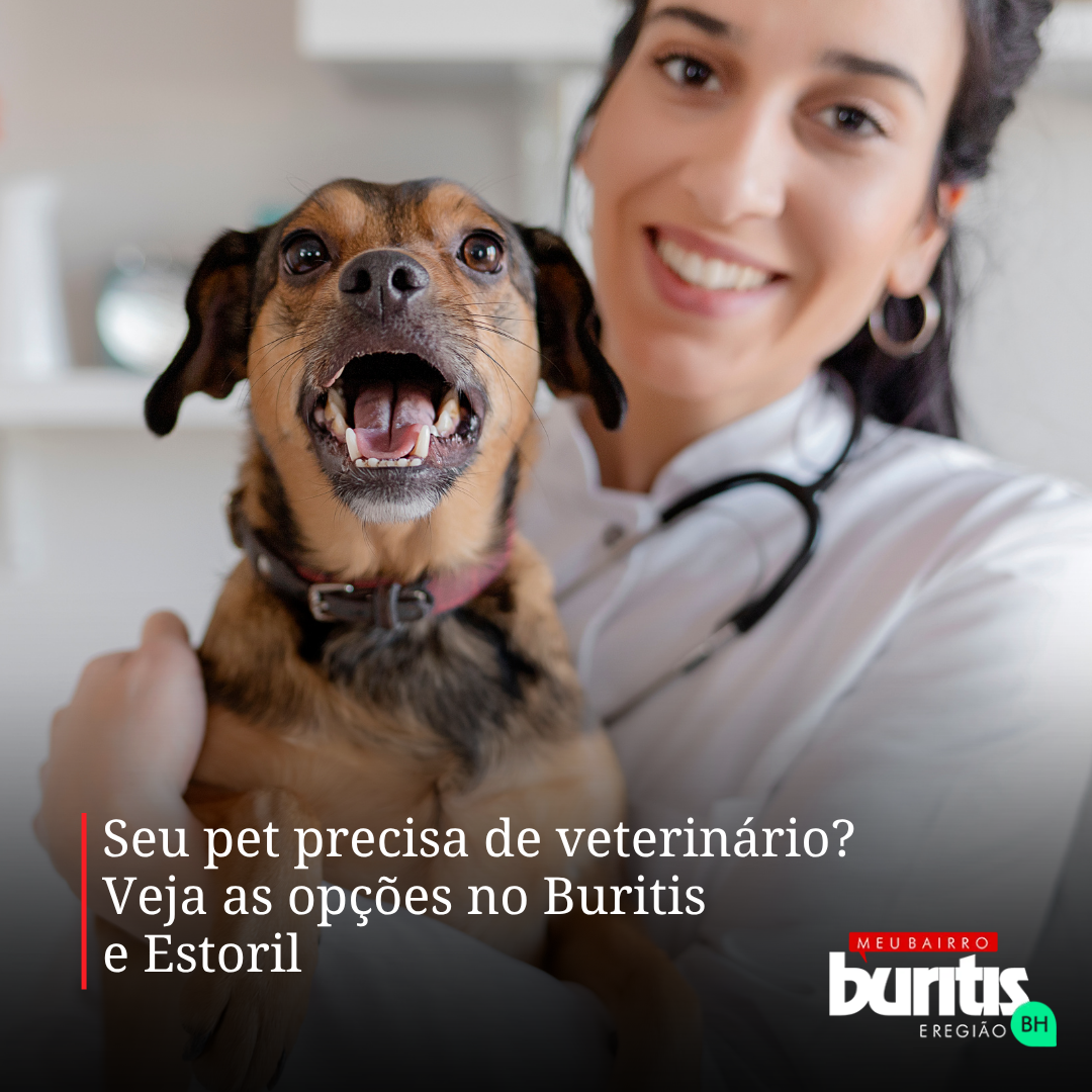 Seu pet precisa de atendimento? Veja as clínicas veterinárias da região